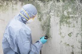 Best Air Quality Testing for Mold Spores  in Powells Crossroads, TN